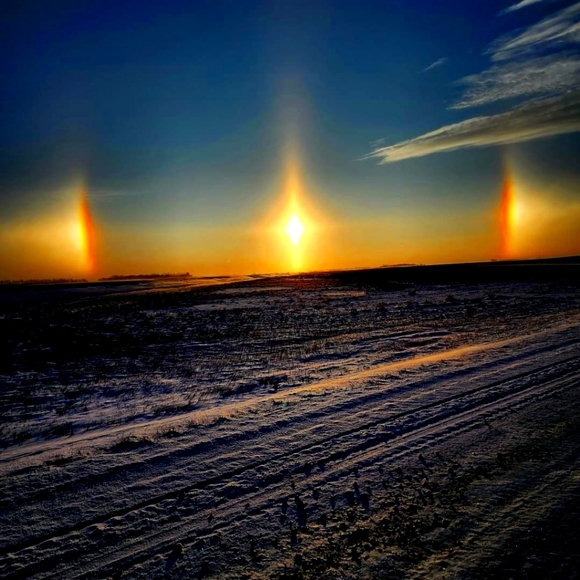 Meet your Posher, Jennifer - Picture 1 of 1